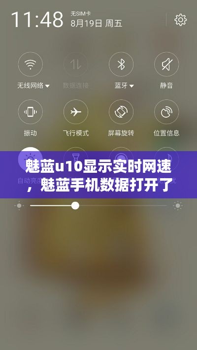 魅蓝u10显示实时网速，魅蓝手机数据打开了为什么没有网络 