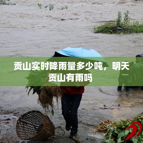 贡山实时降雨量多少吨，明天贡山有雨吗 