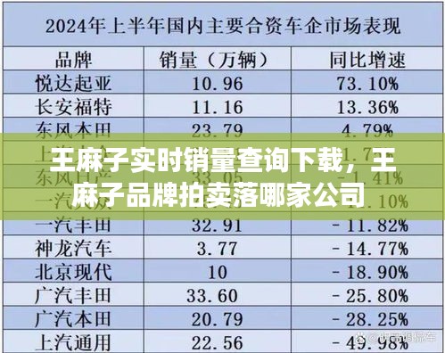 王麻子实时销量查询下载，王麻子品牌拍卖落哪家公司 