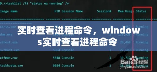 实时查看进程命令，windows实时查看进程命令 