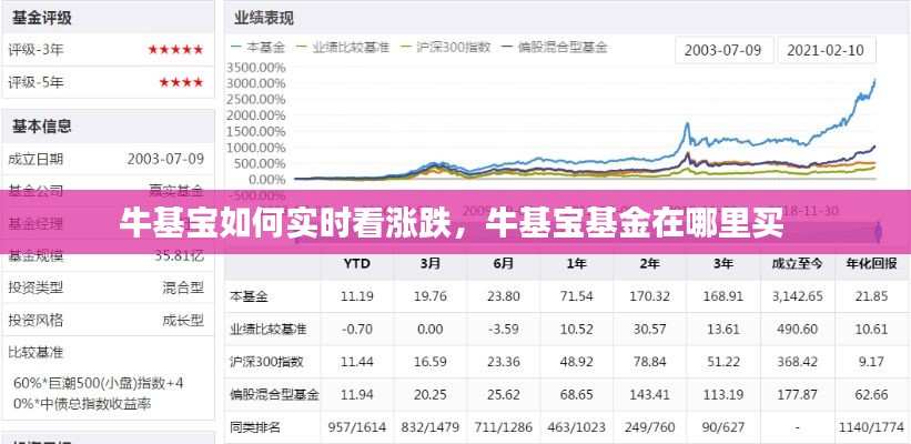 牛基宝如何实时看涨跌，牛基宝基金在哪里买 