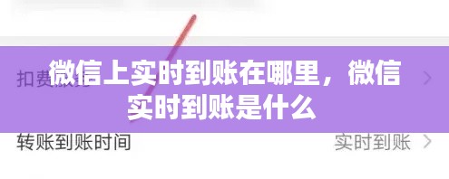 微信上实时到账在哪里，微信实时到账是什么 