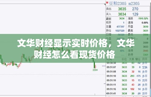 文华财经显示实时价格，文华财经怎么看现货价格 