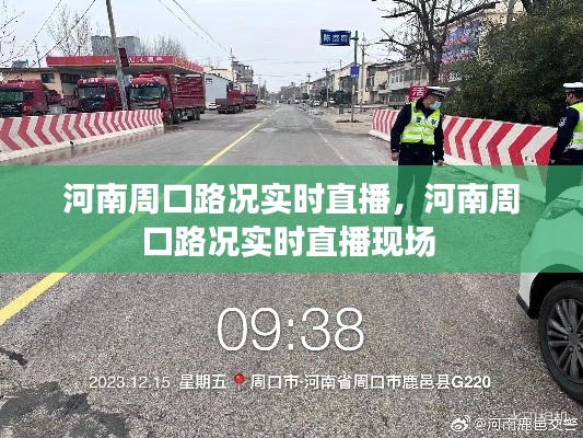 河南周口路况实时直播，河南周口路况实时直播现场 