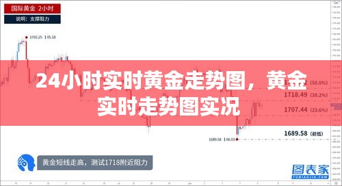 24小时实时黄金走势图，黄金实时走势图实况 