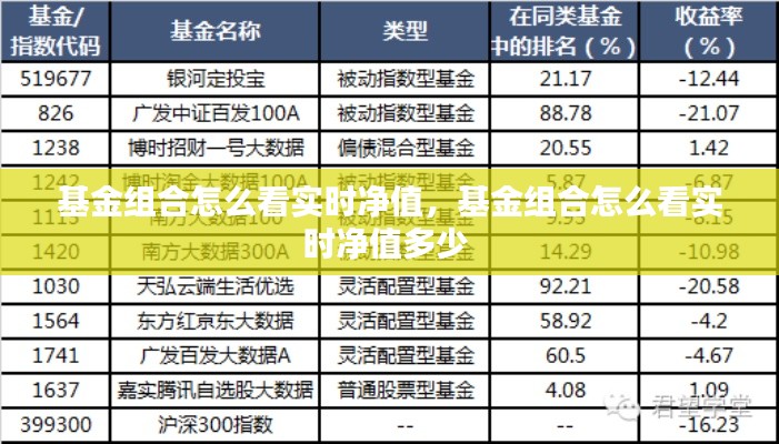 基金组合怎么看实时净值，基金组合怎么看实时净值多少 