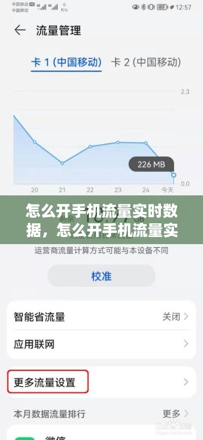 怎么开手机流量实时数据，怎么开手机流量实时数据不显示 