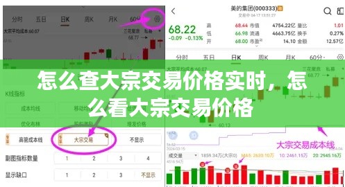 怎么查大宗交易价格实时，怎么看大宗交易价格 