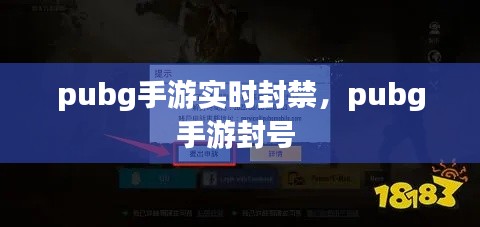 pubg手游实时封禁，pubg手游封号 