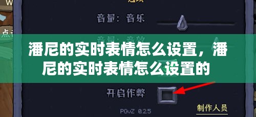 潘尼的实时表情怎么设置，潘尼的实时表情怎么设置的 