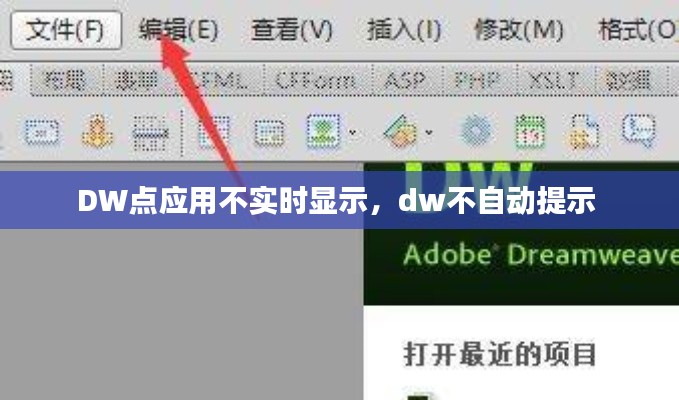 DW点应用不实时显示，dw不自动提示 