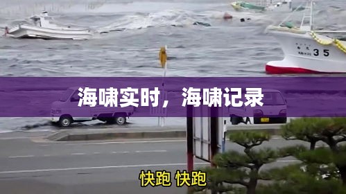 海啸实时，海啸记录 