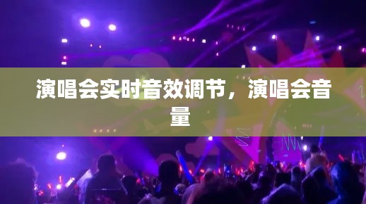 演唱会实时音效调节，演唱会音量 