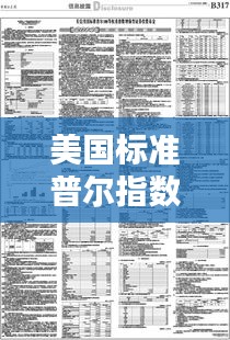 美国标准普尔指数实时，美国标准普尔公司简介 