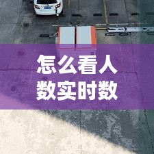 怎么看人数实时数据，怎么看人数实时数据图 