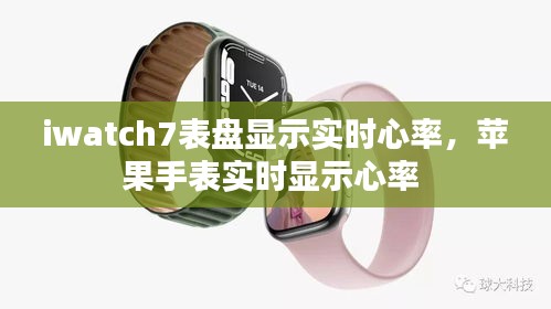 iwatch7表盘显示实时心率，苹果手表实时显示心率 