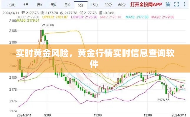 实时黄金风险，黄金行情实时信息查询软件 