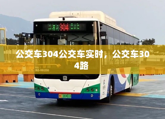 公交车304公交车实时，公交车304路 