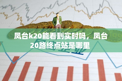 凤台k20能看到实时吗，凤台20路终点站是哪里 