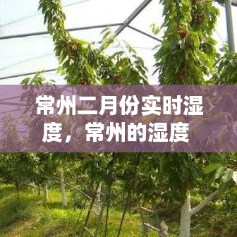 常州二月份实时湿度，常州的湿度 