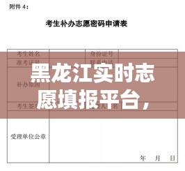 黑龙江实时志愿填报平台，黑龙江志愿填报系统 