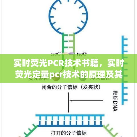 实时荧光PCR技术书籍，实时荧光定量pcr技术的原理及其应用 