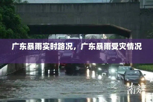 广东暴雨实时路况，广东暴雨受灾情况 