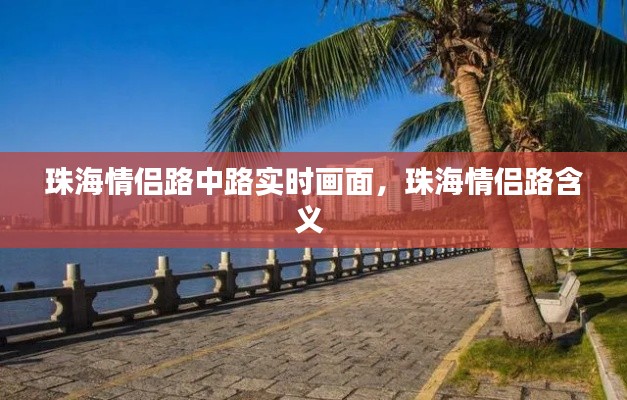 珠海情侣路中路实时画面，珠海情侣路含义 