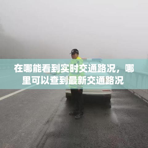 在哪能看到实时交通路况，哪里可以查到最新交通路况 