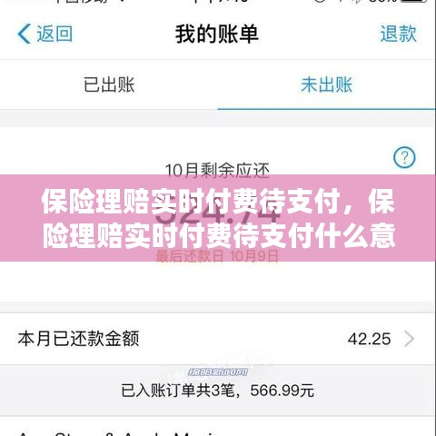 保险理赔实时付费待支付，保险理赔实时付费待支付什么意思 