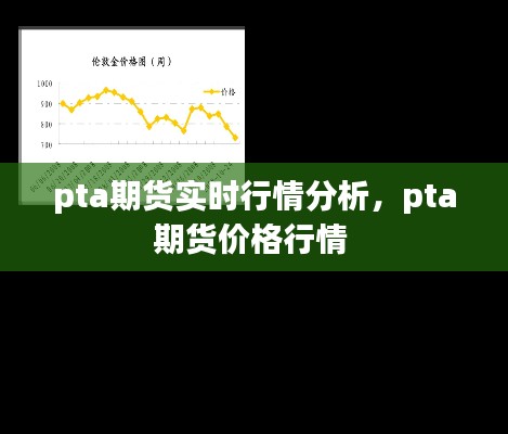 pta期货实时行情分析，pta期货价格行情 