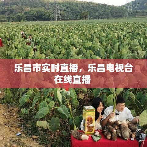 乐昌市实时直播，乐昌电视台在线直播 