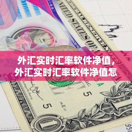 外汇实时汇率软件净值，外汇实时汇率软件净值怎么算 