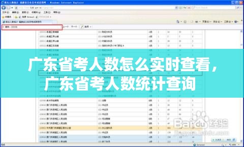 广东省考人数怎么实时查看，广东省考人数统计查询 