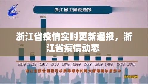 浙江省疫情实时更新通报，浙江省疫情动态 