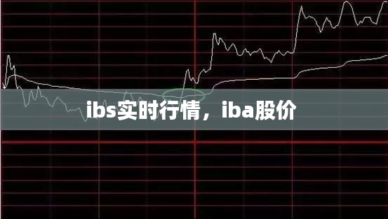 ibs实时行情，iba股价 