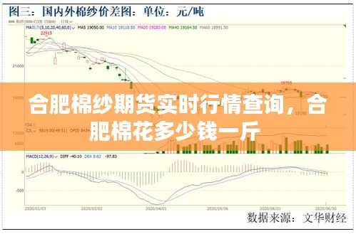 合肥棉纱期货实时行情查询，合肥棉花多少钱一斤 