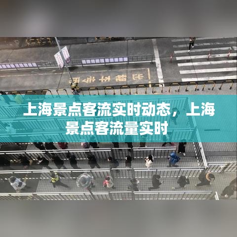 上海景点客流实时动态，上海景点客流量实时 