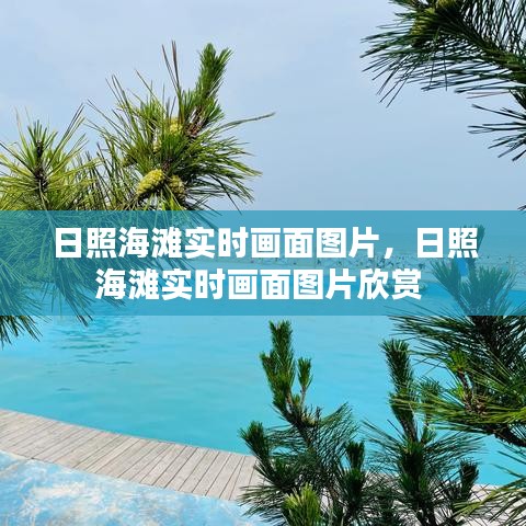 日照海滩实时画面图片，日照海滩实时画面图片欣赏 