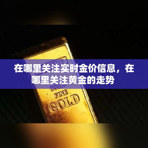 在哪里关注实时金价信息，在哪里关注黄金的走势 