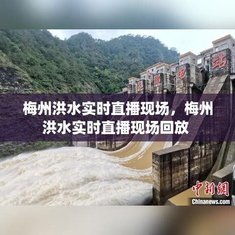 梅州洪水实时直播现场，梅州洪水实时直播现场回放 