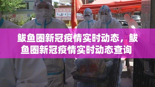 鲅鱼圈新冠疫情实时动态，鲅鱼圈新冠疫情实时动态查询 