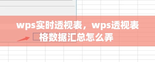 wps实时透视表，wps透视表格数据汇总怎么弄 