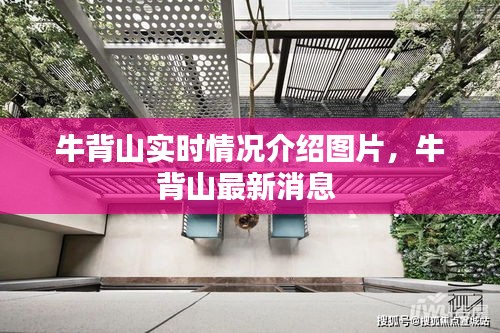 牛背山实时情况介绍图片，牛背山最新消息 