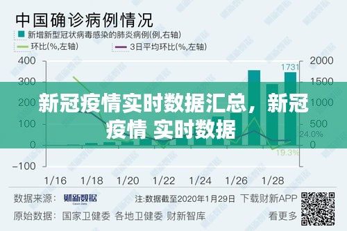 新冠疫情实时数据汇总，新冠疫情 实时数据 