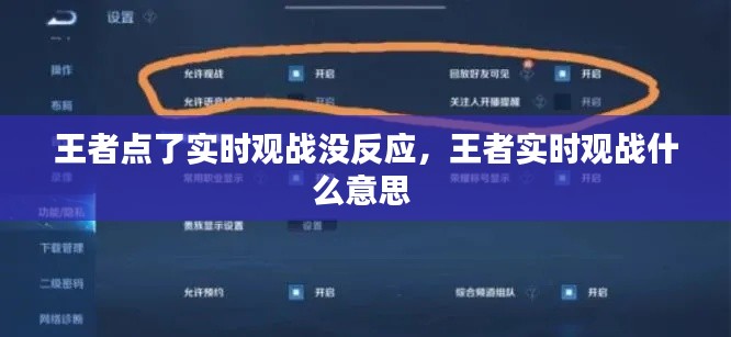 王者点了实时观战没反应，王者实时观战什么意思 