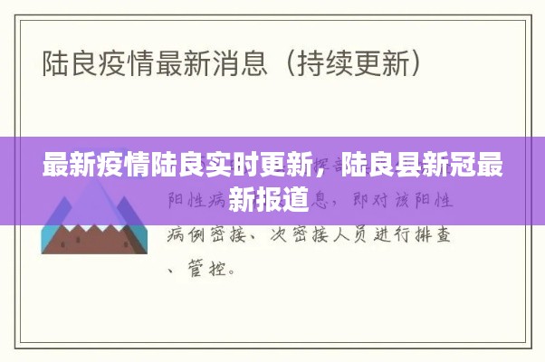 最新疫情陆良实时更新，陆良县新冠最新报道 