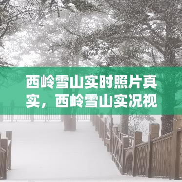 西岭雪山实时照片真实，西岭雪山实况视频 