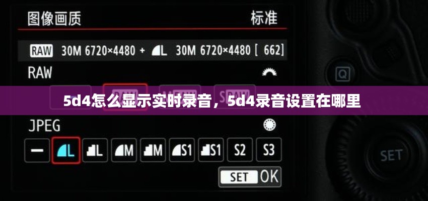 5d4怎么显示实时录音，5d4录音设置在哪里 