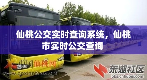 仙桃公交实时查询系统，仙桃市实时公交查询 